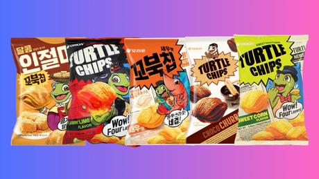 Turtle Chips From Korea