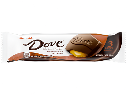 USA 🇺🇸 - Dove Large Promises Milk Chocolate & Caramel