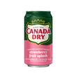 USA 🇺🇸 - Canada Dry Strawberry Fruit Splash - InOutSnackz