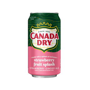 USA 🇺🇸 - Canada Dry Strawberry Fruit Splash - InOutSnackz